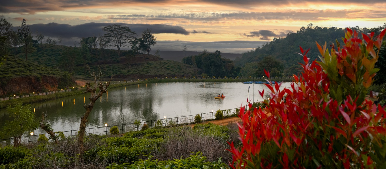 Discover Tranquillity at Jungle View Resort: A Hidden Gem Among Top Resorts in Wayanad