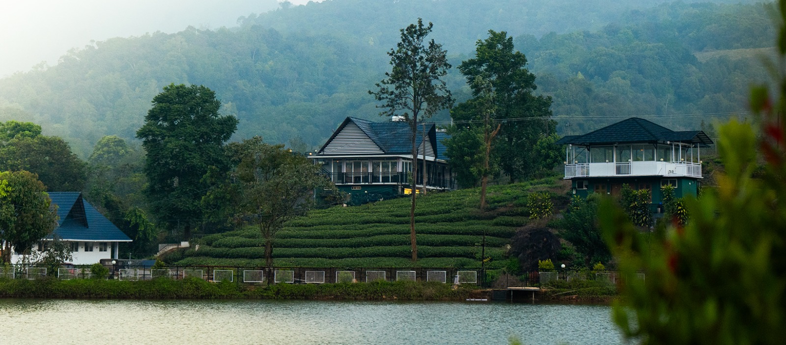 Find Your Bliss: Why Jungle View Resort is Among the Best Resorts in Mananthavady