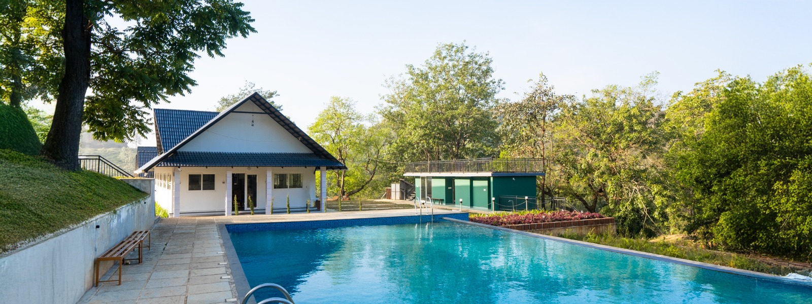 Experience November Magic at Jungle View Resort – A True Escape Among Jungle Resorts in Wayanad