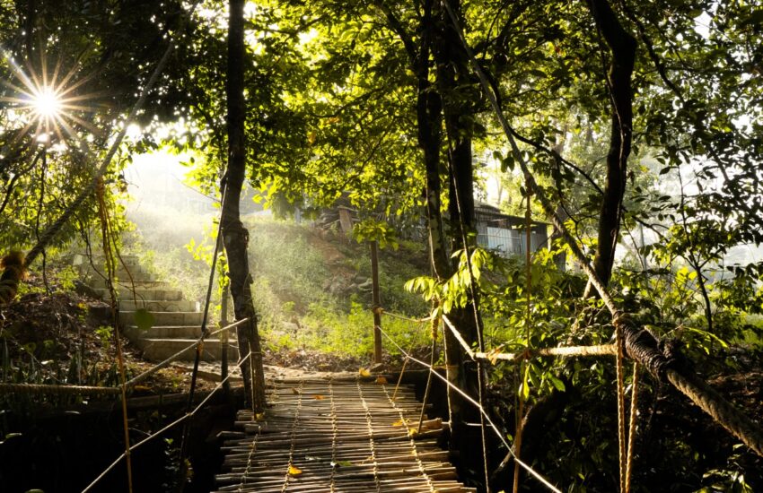 best resorts in Wayanad