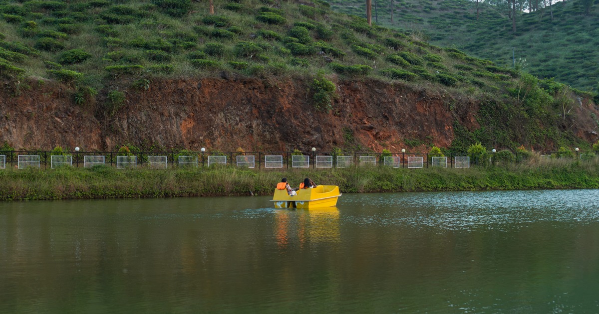 Resorts in Wayanad with Swimming Pool: Experience Serenity at Jungle View Resort